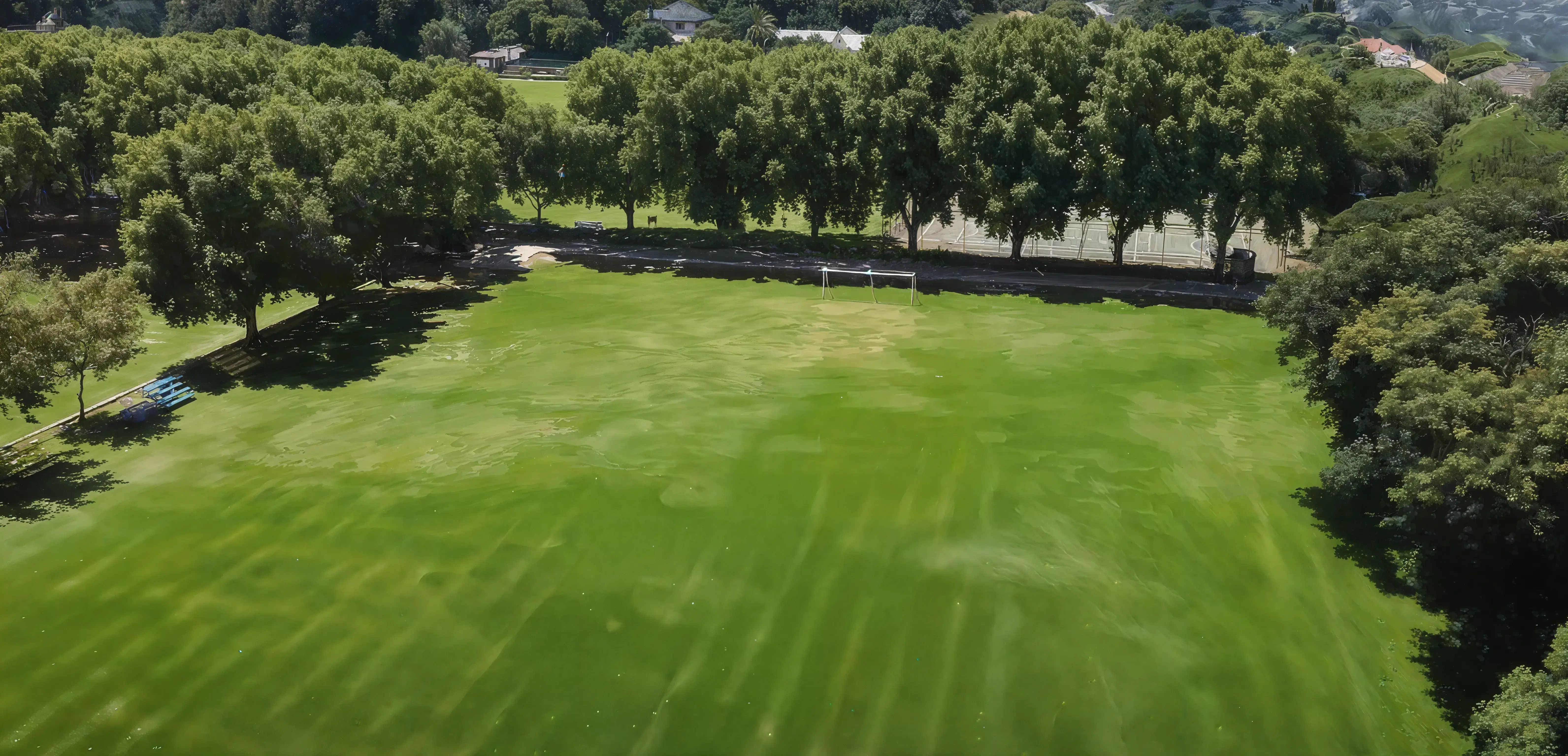 SHCTPT campus photo 8